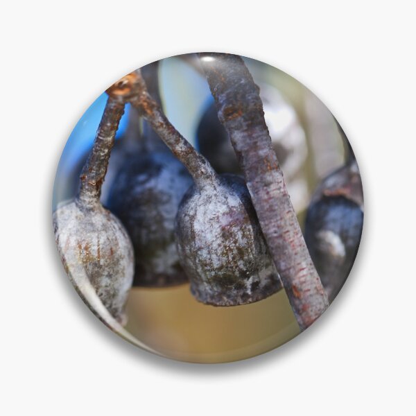 Item preview, Matured Gumnut Live Bells  designed and sold by Joy Watson - Natural Light Photography .