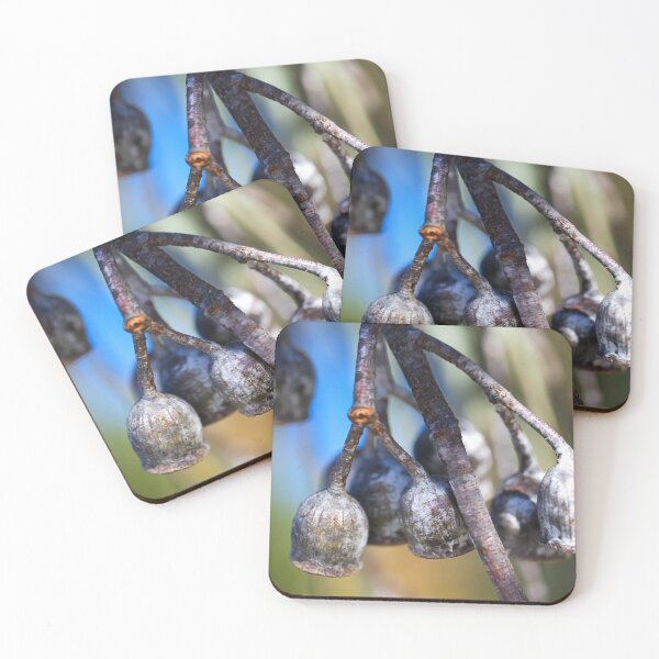 Item preview, Matured Gumnut Live Bells  designed and sold by Joy Watson - Natural Light Photography .
