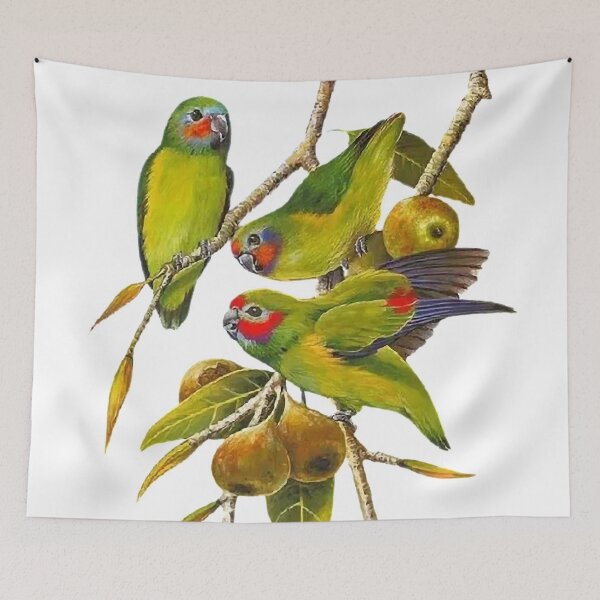 Item preview, Brilliantly painted bird pictures, similar. Picture 30 is so excellent!  designed and sold by zenger2021.