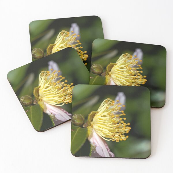 Item preview, Camellia Japonicas Stamens designed and sold by Joy Watson - Natural Light Photography .