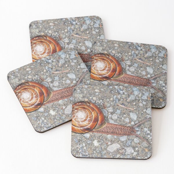 Item preview, Pacific sideband snail (Monadenia fidelis) designed and sold by SDym Photography.