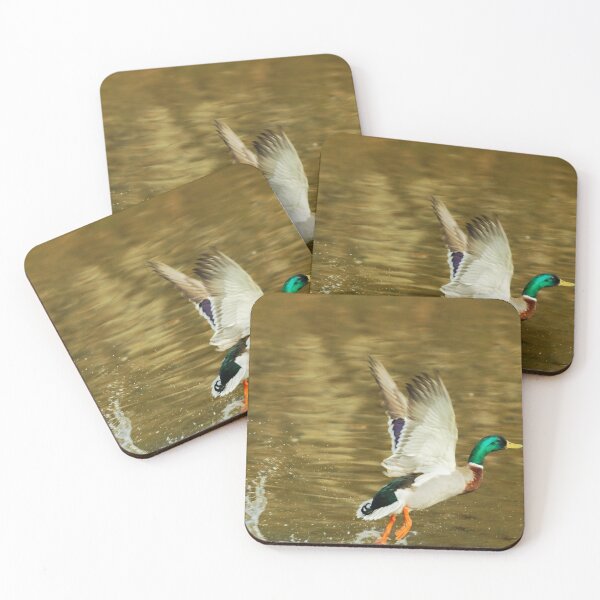 Item preview, Had a swim now to fly designed and sold by andrewsaxton.