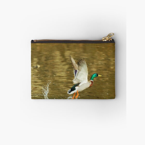 Item preview, Had a swim now to fly designed and sold by andrewsaxton.