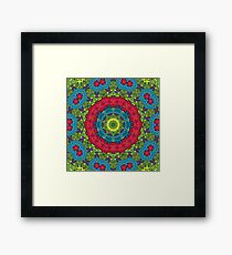 Psychedelic LSD Trip Ornament 0011 Framed Print