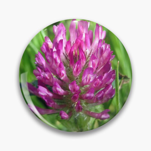Item preview, clover flower designed and sold by KathleenDawson.