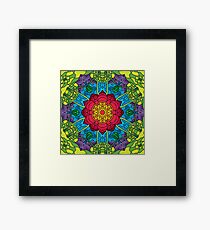 Psychedelic LSD Trip Ornament 0014 Framed Print