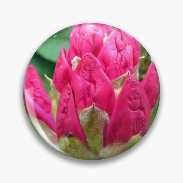 Item preview, rhododendron flower designed and sold by KathleenDawson.