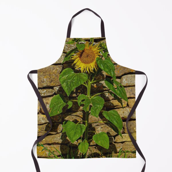 Item preview, Sunflower against a dry stone wall designed and sold by Dalyndigital Photography.