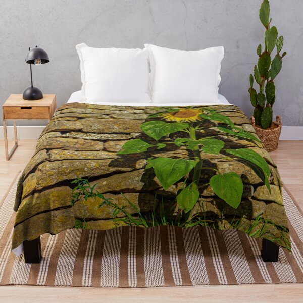 Item preview, Sunflower against a dry stone wall designed and sold by Dalyndigital Photography.