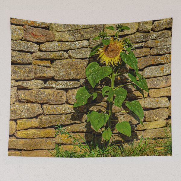 Item preview, Sunflower against a dry stone wall designed and sold by Dalyndigital Photography.