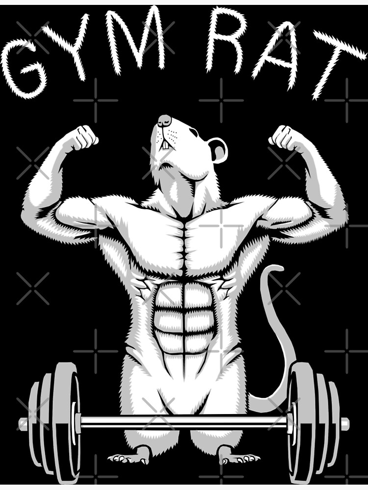 GYM RAT, WORKOUT :) | Art Board Print