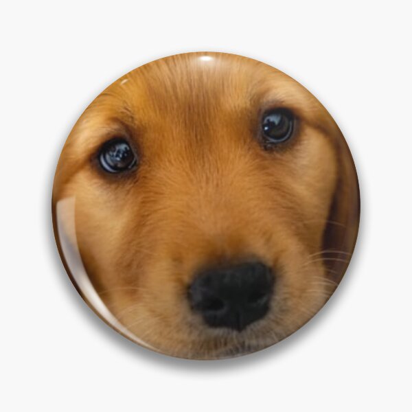 Item preview, Cute Golden Puppy designed and sold by leea1l.