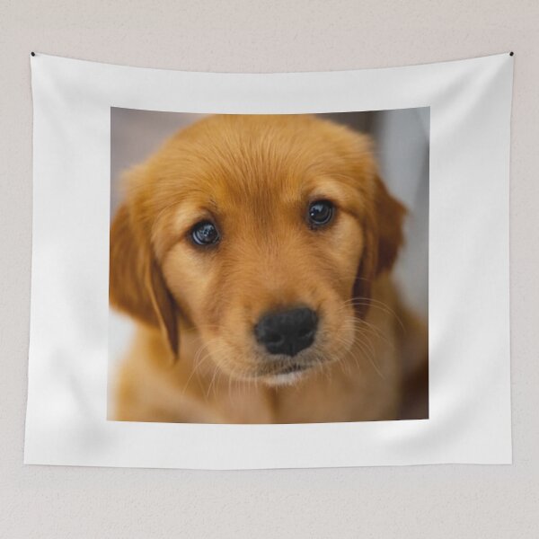 Item preview, Cute Golden Puppy designed and sold by leea1l.