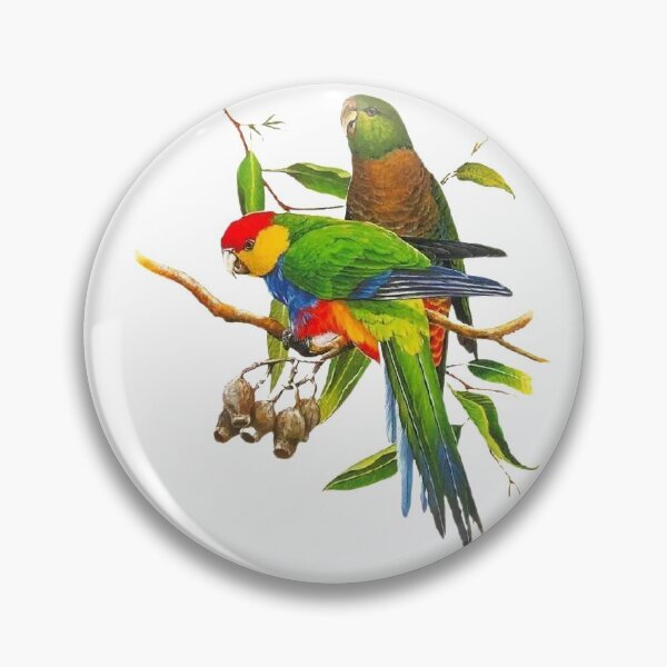 Item preview, Ingeniously painted bird pictures, lifelike. Picture 31 is so beautiful! designed and sold by zenger2021.