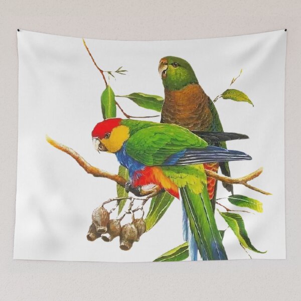Item preview, Ingeniously painted bird pictures, lifelike. Picture 31 is so beautiful! designed and sold by zenger2021.