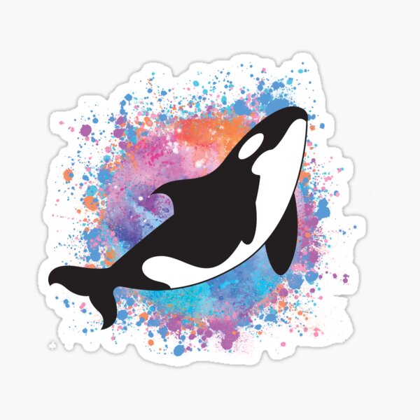 Orca Splash Sticker