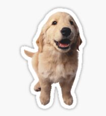 Pegatina Puppy! Retriever!