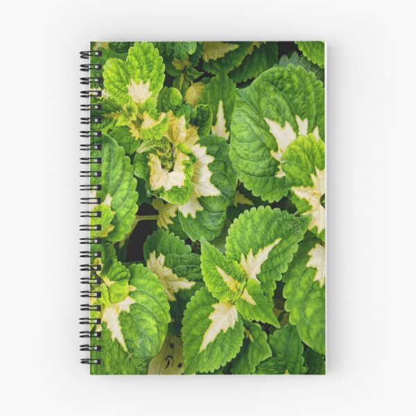 Item preview, Greenery of Madison Avenue designed and sold by steeber.