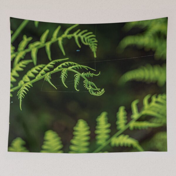 Item preview, Bracken 3 designed and sold by Veikko  Suikkanen.