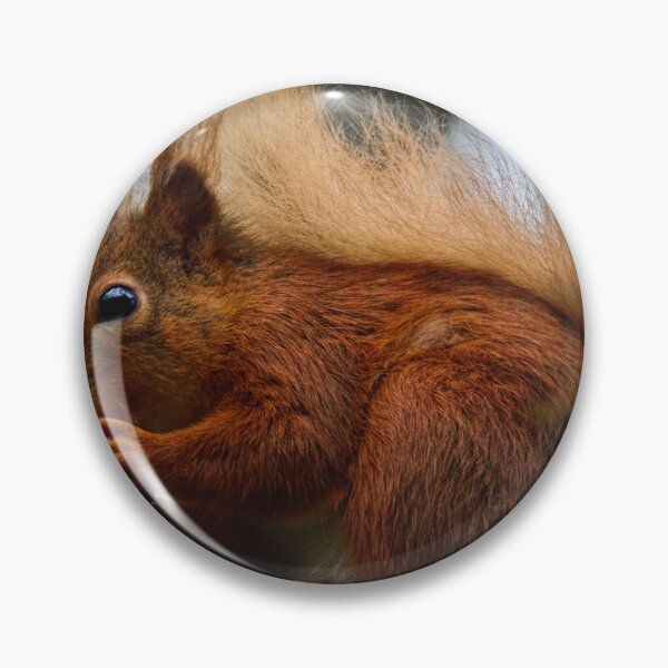 Item preview, Red Squirrel designed and sold by HJIrvine.
