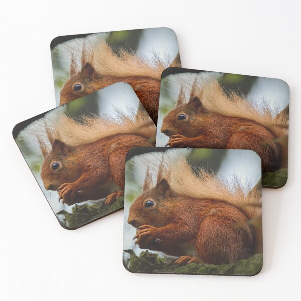 Item preview, Red Squirrel designed and sold by HJIrvine.