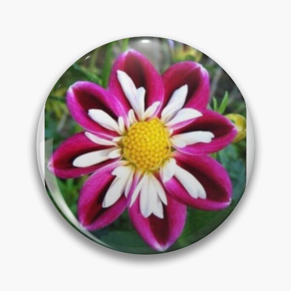 Item preview, spring-magic designed and sold by WakeUpYourHome.