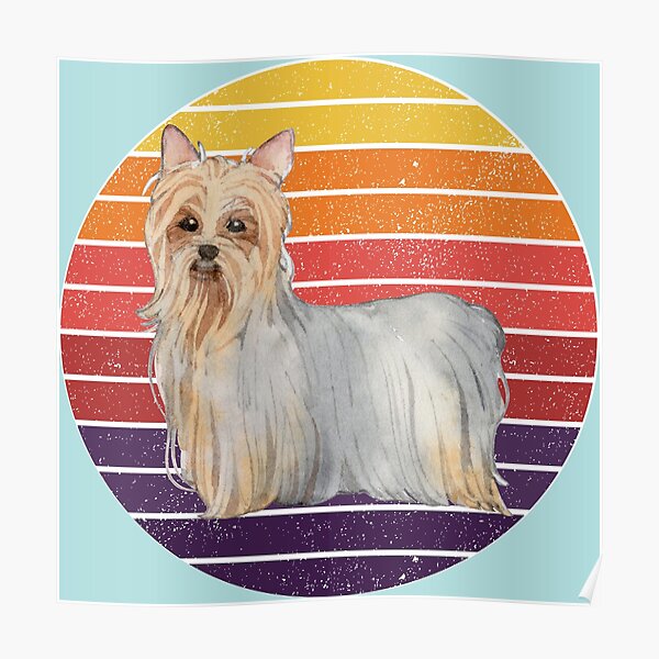 Cute Cartoon Australian Silky Terrier dog. The perfect gift for every Australian Silky Terrier Dog lover Poster