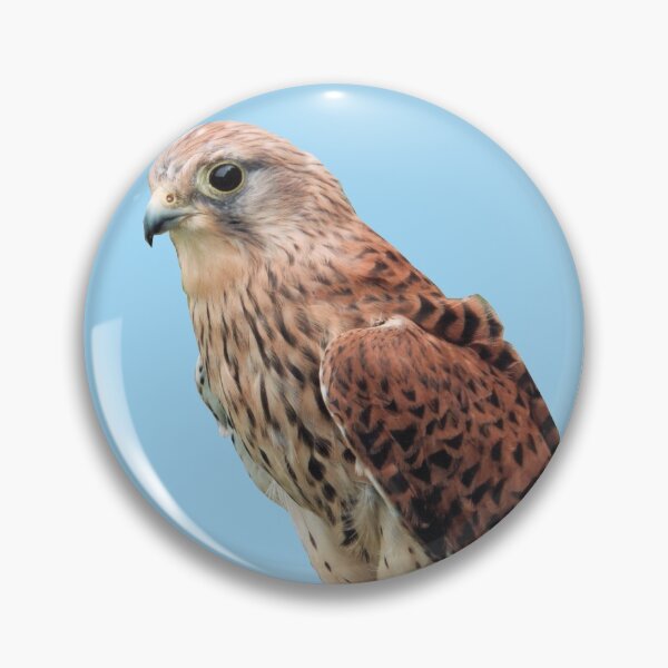 Item preview, Bird of Prey Photograph designed and sold by ajtechdesigns.