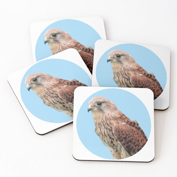 Item preview, Bird of Prey Photograph designed and sold by ajtechdesigns.