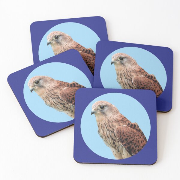 Item preview,  Bird of Prey Photograph designed and sold by ajtechdesigns.