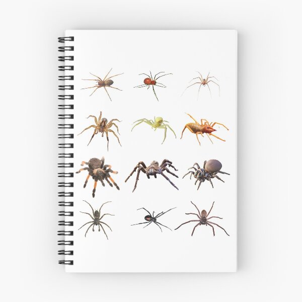 Item preview, Spiders designed and sold by inspireddezigne.