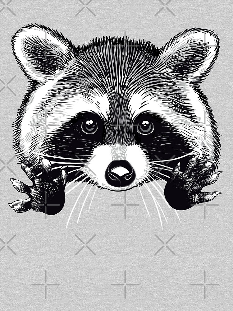 Little raccoon buddy by n21b