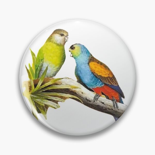 Item preview, Cunningly painted bird pictures, similar. Picture 33 is so delightful!  designed and sold by zenger2021.