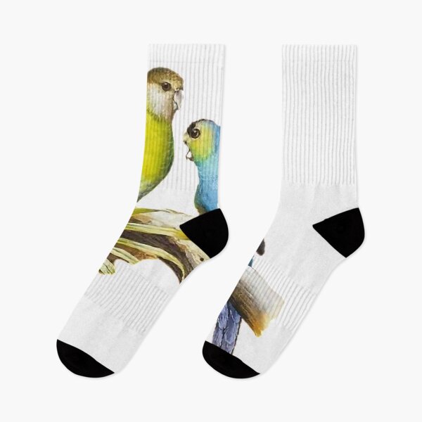 Item preview, Cunningly painted bird pictures, similar. Picture 33 is so delightful!  designed and sold by zenger2021.
