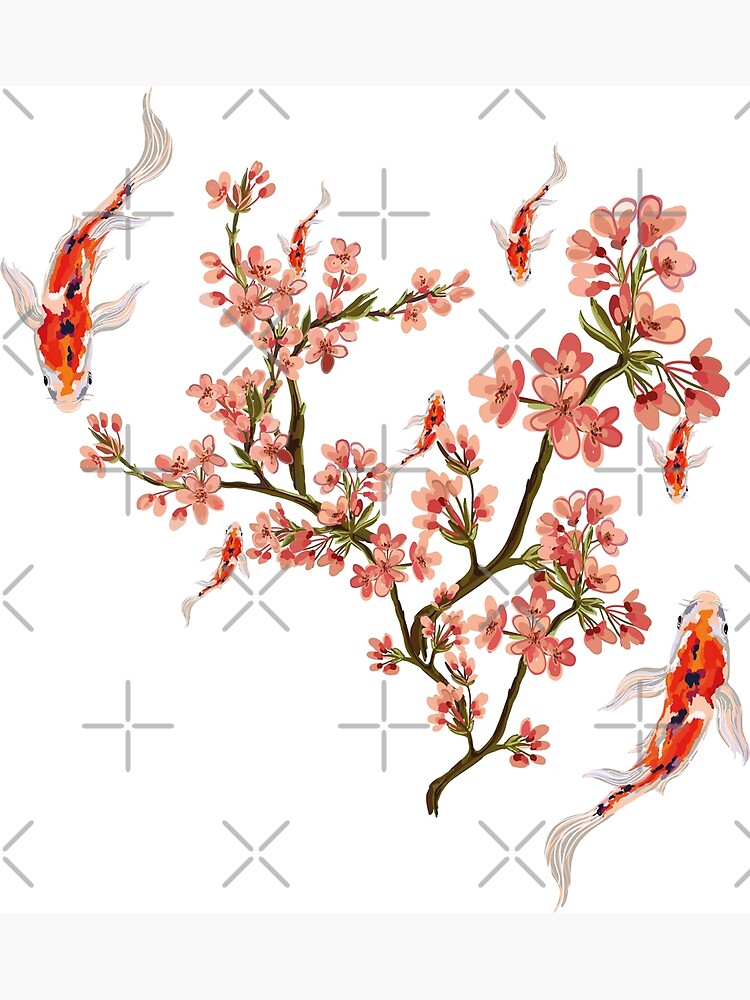 "Cherry Blossom Japanese Koi Fish Nishikigoi Koi Carp " Poster by ...