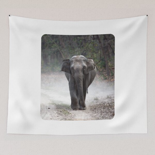 Item preview, Nature Sad Elephant Photography  designed and sold by Nature  Design's.