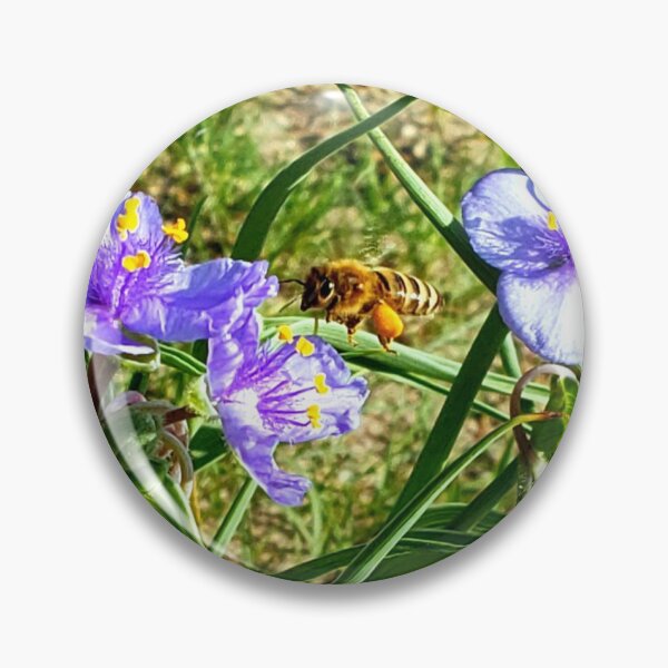 Item preview, A HaBEE Morning designed and sold by Unearthedphotos.