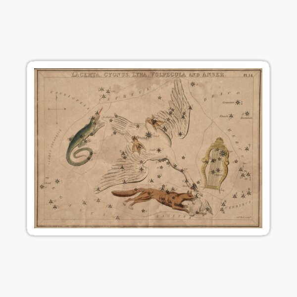 Item preview, Vintage Constellations - Lizard, Swan, Fox, Harp designed and sold by OddPop.