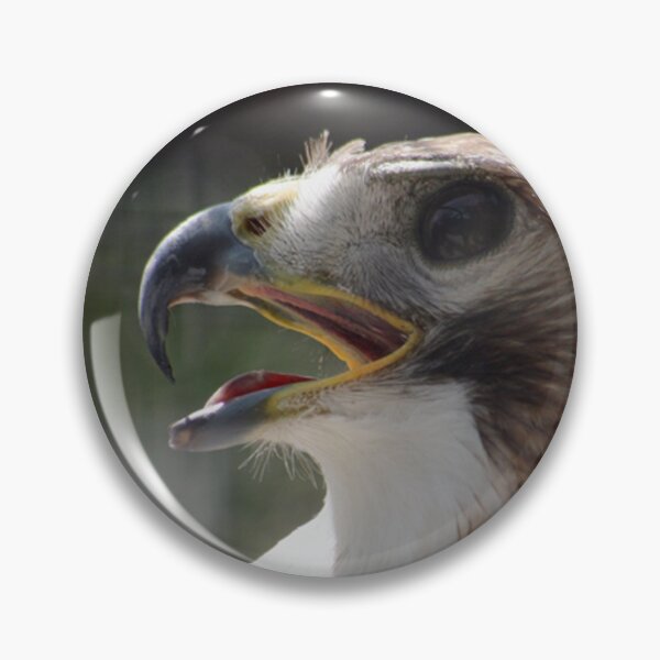 Item preview, Red-Shoulder Hawk designed and sold by glink.