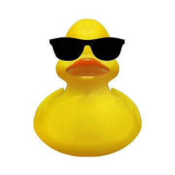 Funky rubber hot sale ducks