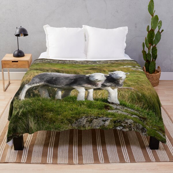 Item preview, Herdwick Sheep Landscape designed and sold by Jane Stanley.