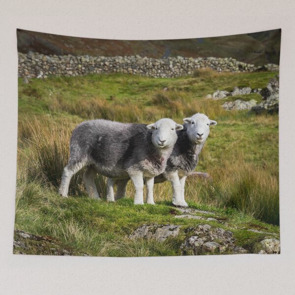 Item preview, Herdwick Sheep Landscape designed and sold by Jane Stanley Photography.