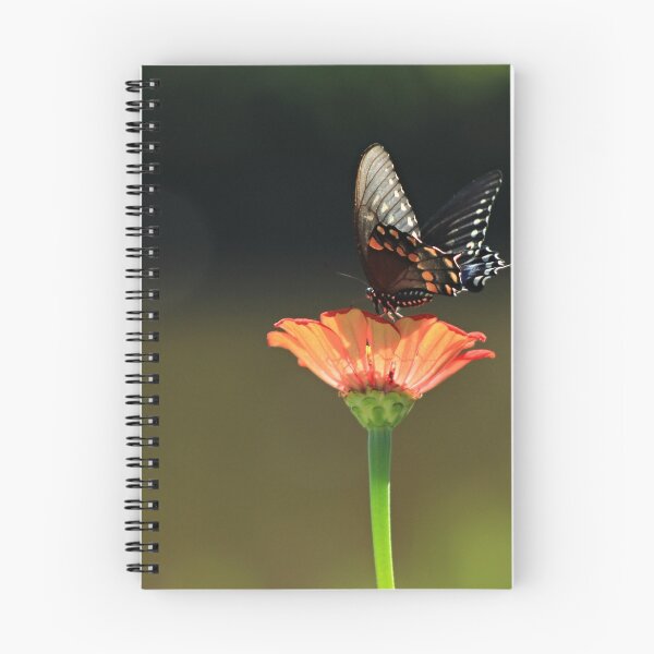 Item preview, Sunday morning in the garden designed and sold by Robin Simmons.