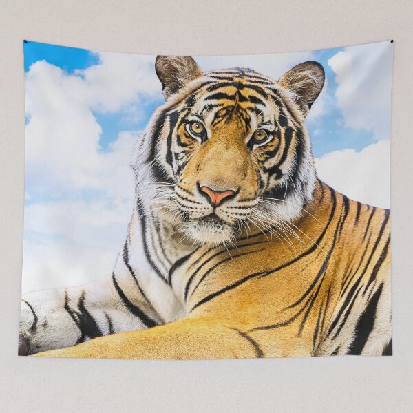 Item preview, panoramic,panoramic wall art, panoramic canvas, Tapestries,Tapestry,throw blankets,,tiger,animal, animals,tiger wall art,tiger artwork,tigers,wild,tiger art,tiger painting, designed and sold by eyesight4vision.