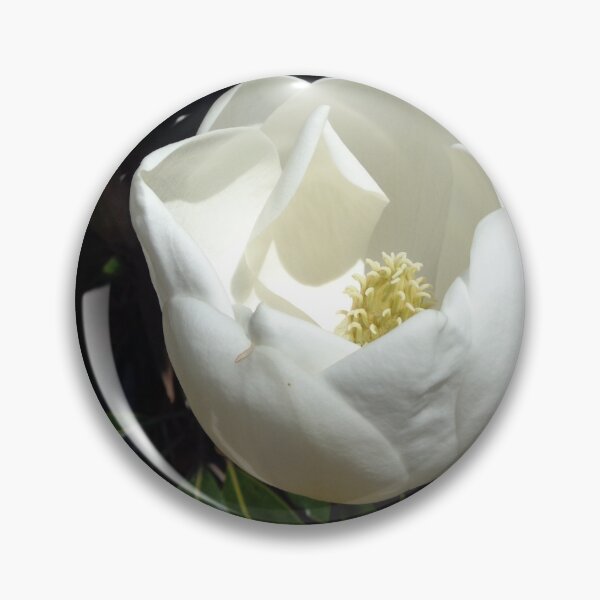 Item preview, Magnolia Bloom designed and sold by GardenArtworks.