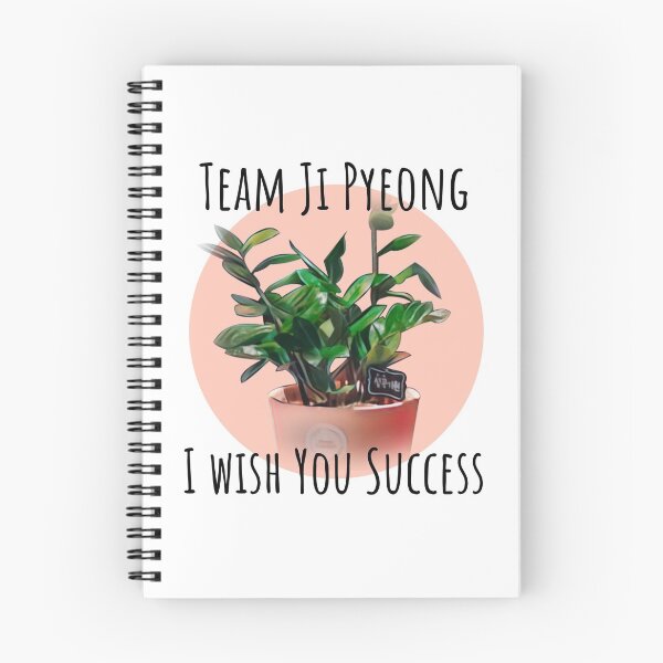 Item preview, I wish you success | Team Ji Pyeong | Startup kdrama | Han Ji Pyeong | Kim Seon Ho designed and sold by Aakriti _0.0_.