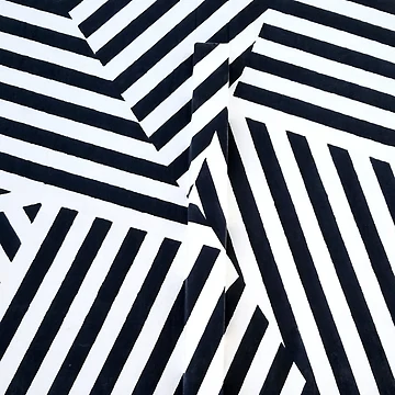 Artwork thumbnail, Zebra by RissaDD