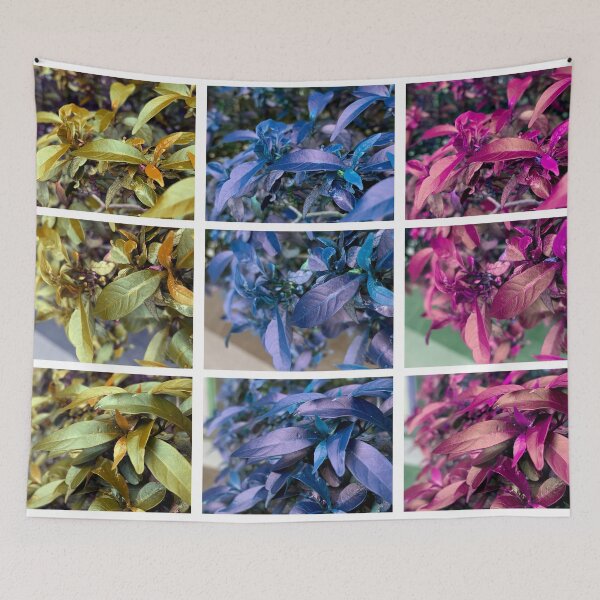 Item preview, Collection of Leaf Photography in Modern Style designed and sold by Wichawin.