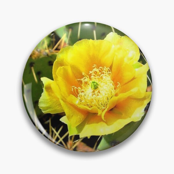 Item preview, Arizona Prickly Pear Blossom designed and sold by Diane Owens.