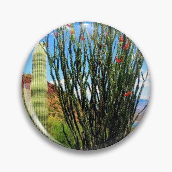 Item preview, Ocotillo Plant inTonto National Forest Arizona designed and sold by Diane Owens.